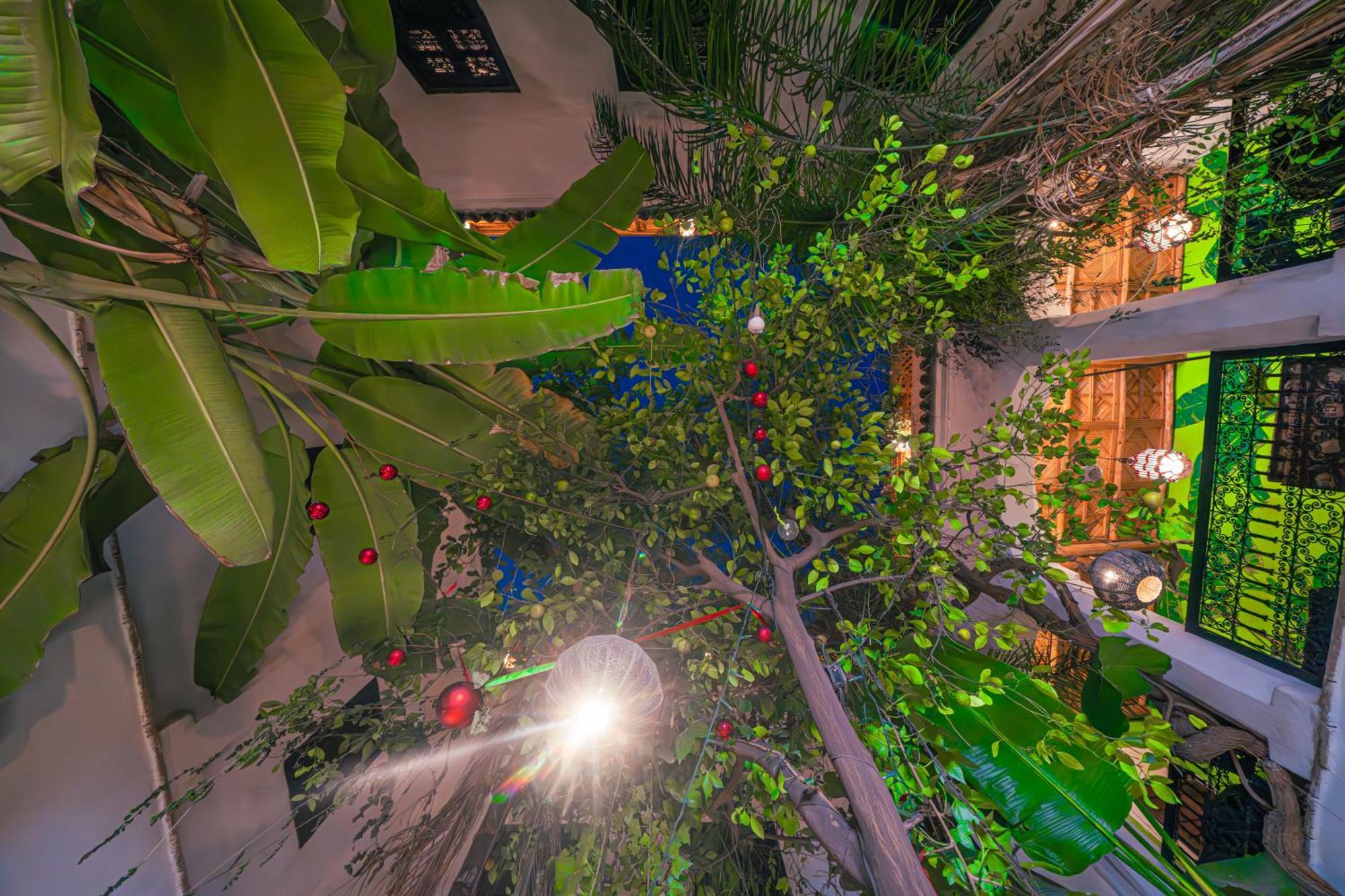 Riad Tibibt Marrakesz Zewnętrze zdjęcie